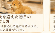 初日の過ごし方