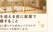 お部屋づくり