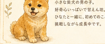 柴犬ソラ