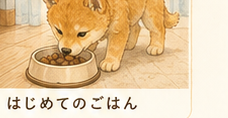 第4話 はじめてのごはん