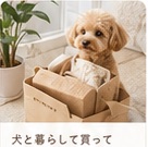 買ってよかったもの