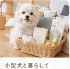 便利グッズ