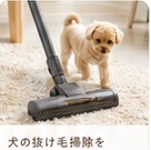 抜け毛掃除