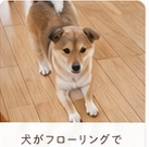 滑り対策