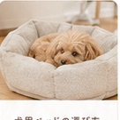 犬用ベッド